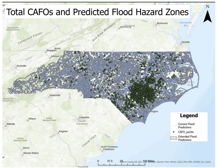 CAFOS in North Carolina and expanded flood risk zones